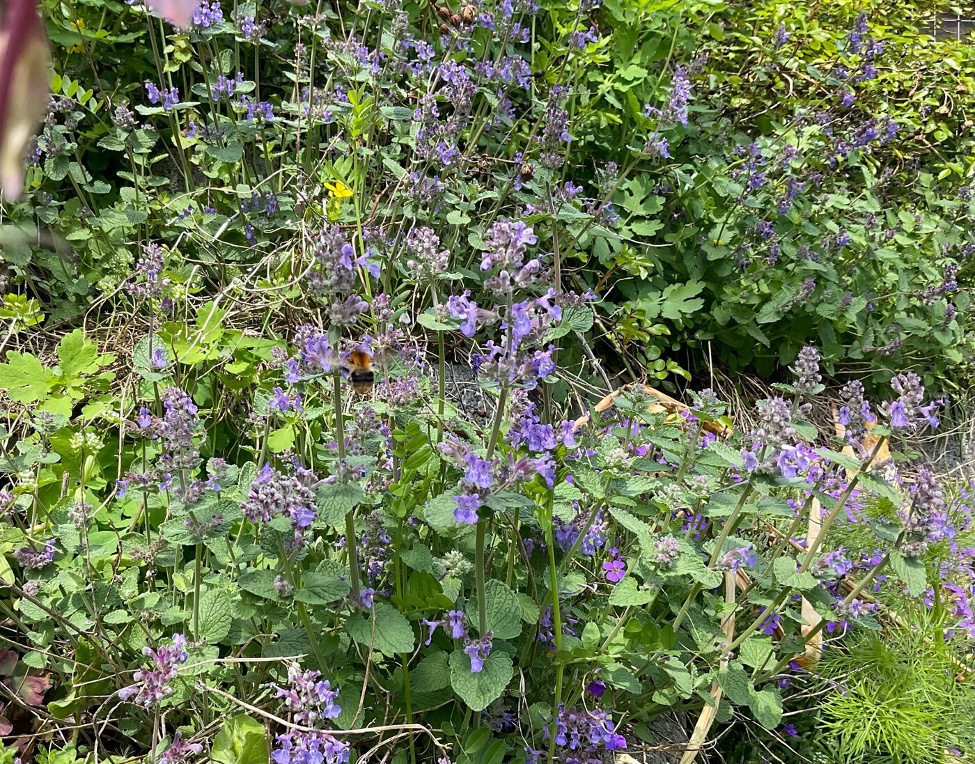 Leporello Rückseite